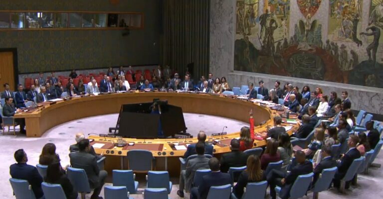 United Nation Security Council