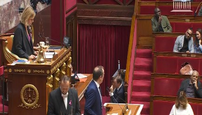 Γαλλικό Κοινοβούλιο