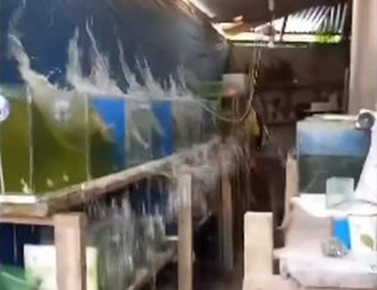 Σεισμός 7.4 Ρίχτερ στις Φιλιππίνες