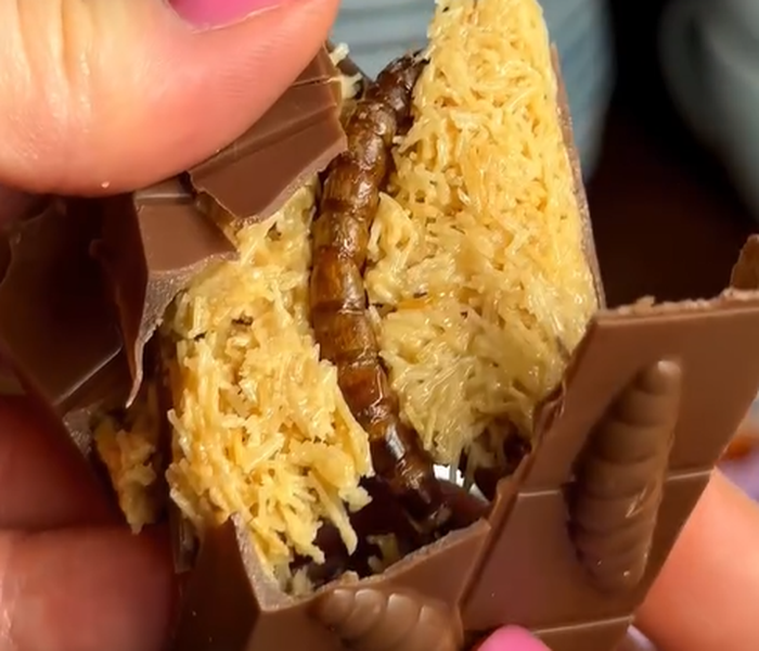 sokolata me pronymfes