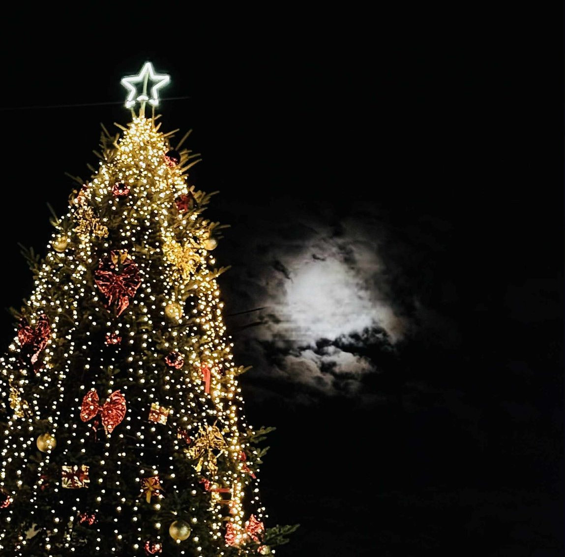 Ταξιαρχης Χαλκιδικής Φωταγώγηση Χριστουγεννιάτικου δέντρου