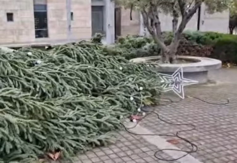 Έπεσε το χριστουγεννιάτικο δέντρο στο Δημαρχειο