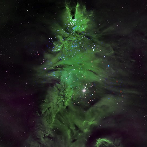 Αστρικό χριστουγεννιάτικο δέντρο