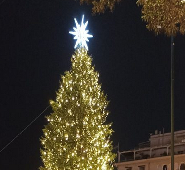 Χριστουγεννιάτικο δέντρο Αριστοτέλους