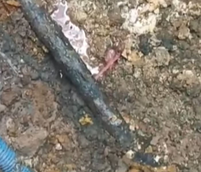 Εργοστάσιο ΒΙΟΛΑΝΤΑ Διαρροή σωλήνα προπανίου