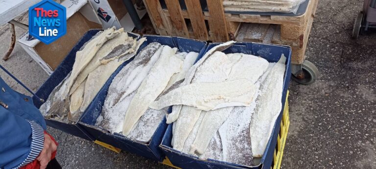 Μπακαλιάρος παστός