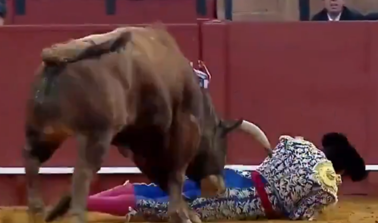 Τραυματισμός ταυρομάχου στη Σεβίλλη