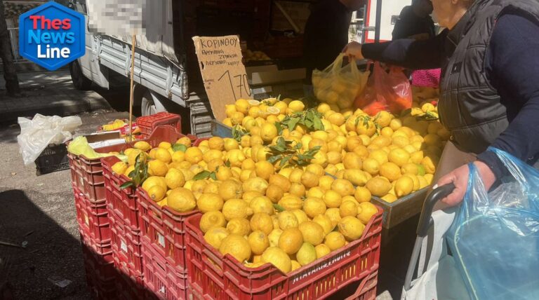 Λεμόνια Λαϊκή αγορά Μ. Δευτέρα 2026