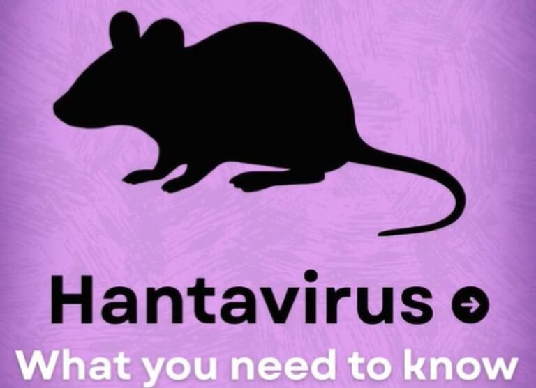 hantavirus