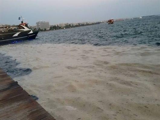 Θεσσαλονίκη Φυτοπλαγκτον στον Θερμαϊκό
