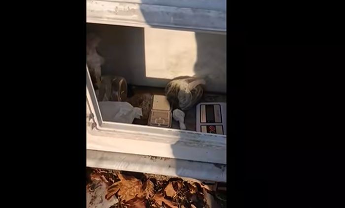 Κρυμμένη κάνναβή σε τάφο