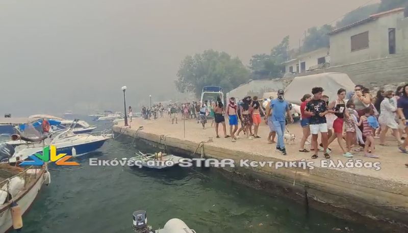 Φωτιά στον Άγιο Βασίλειο Βοιωτίας