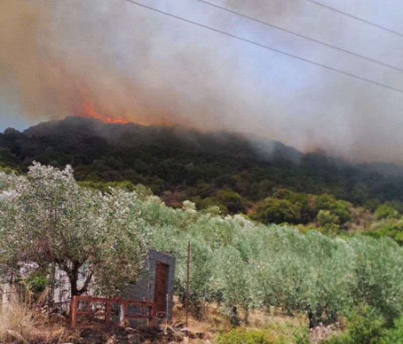 Φωτιά στο Κομπότη Άρτας