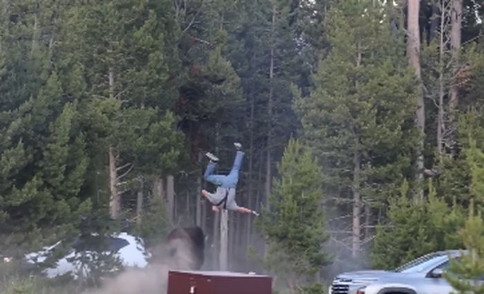 Επίθεση βίσωνα σε επισκέπτη στο Yellowstone Park