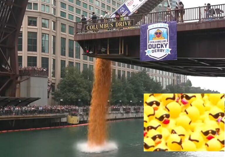 Duck Derby Chicago