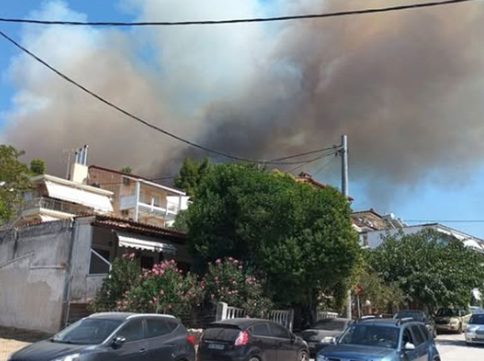 Φωτιά στη Σίβηρη Χαλκιδικής