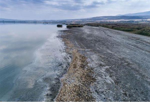 Λίμνη Κορώνεια