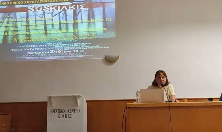 Κριστίνα Μακνέα